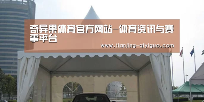 案例标题八