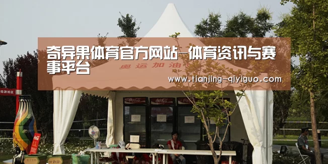 案例标题五
