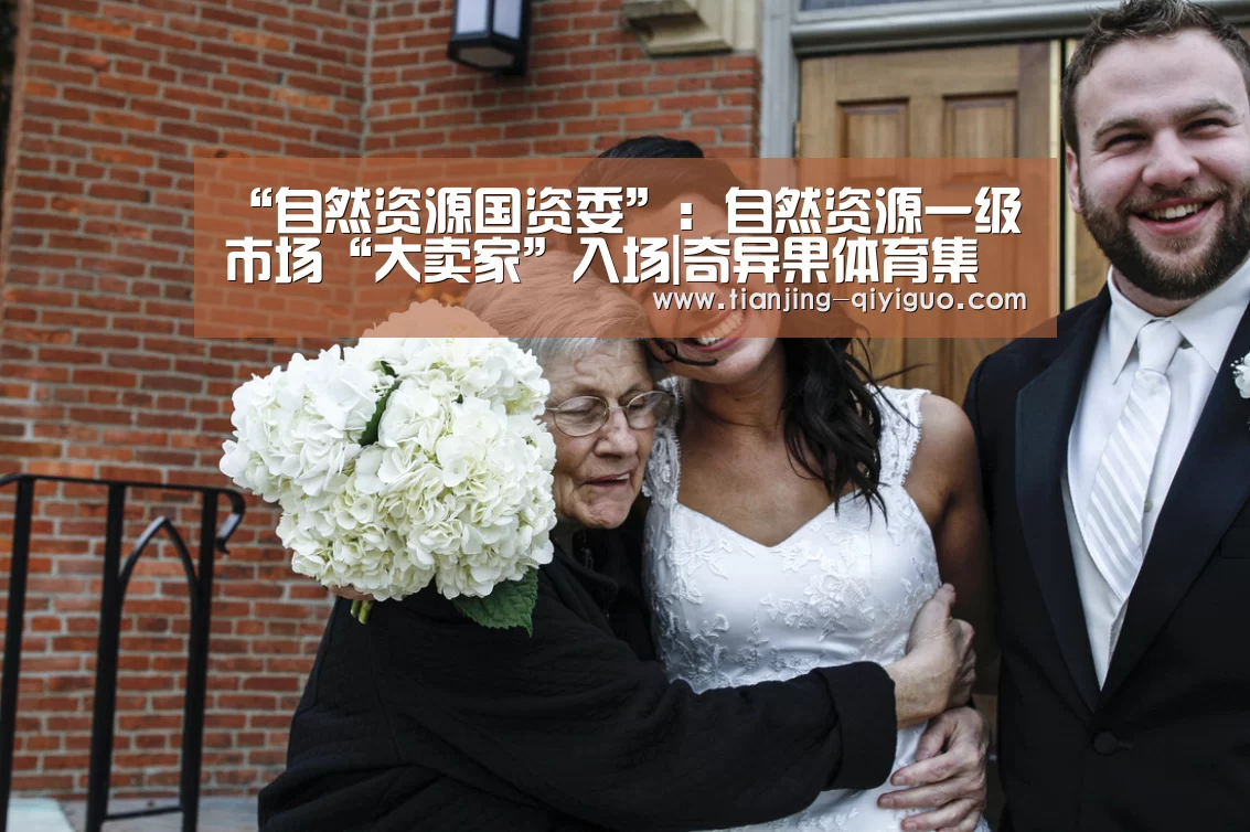 “自然资源国资委”：自然资源一级市场“大卖家”入场|奇异果体育集团